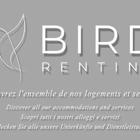 Beautiful Authentic In The Heart Of Old